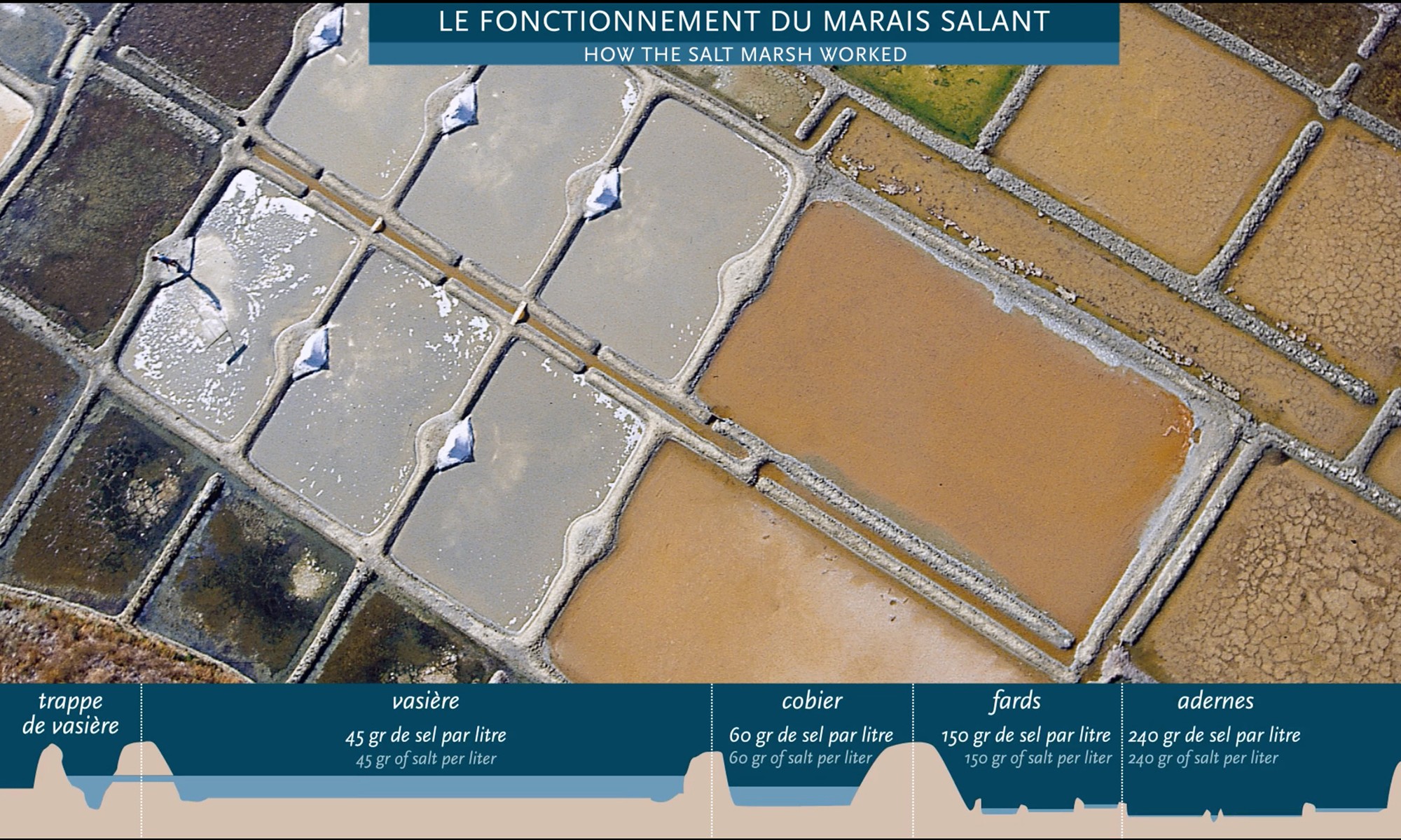 MUSÉE DES MARAIS SALANTS Drôle de trame